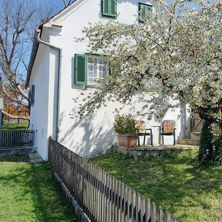 Ferienhaus Im Thermenland Ilz エクステリア 写真