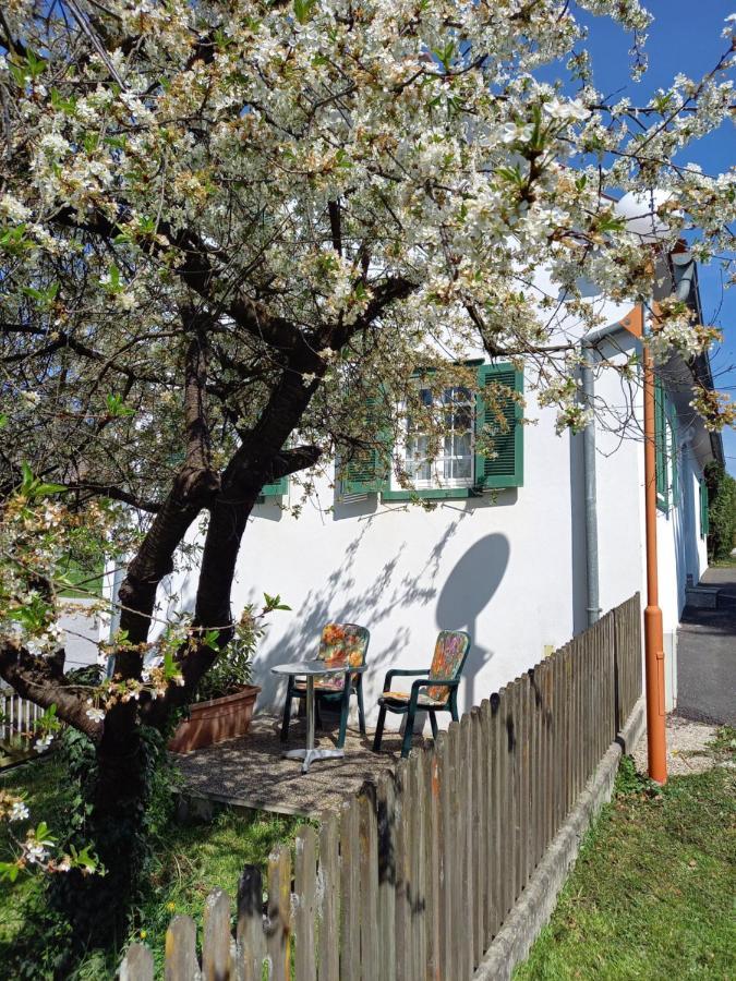 Ferienhaus Im Thermenland Ilz エクステリア 写真