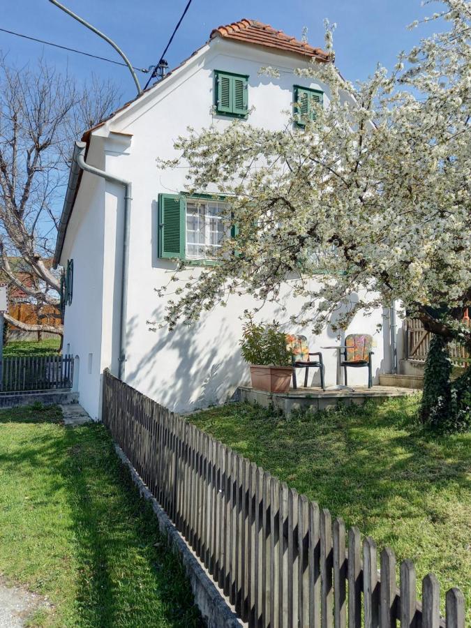 Ferienhaus Im Thermenland Ilz エクステリア 写真